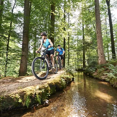 Hubertus 3* Bodenmais